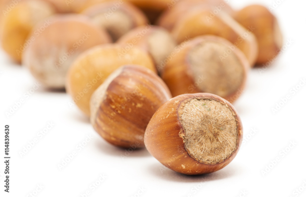 Hazelnuts on white background Hazelnuts on white background