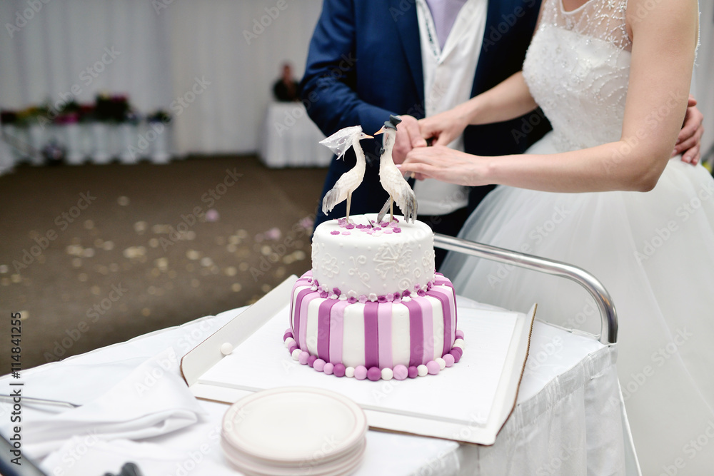 Beauty bride and handsome groom are cutting a wedding cake. Couple in the restaurant with colorful pie. Beautiful model girl in white dress. Man in suit. Female and male portrait. Cute lady and guy Beauty bride and handsome groom are cutting a wedding cake. Couple in the restaurant with colorful pie. Beautiful model girl in white dress. Man in suit. Female and male portrait. Cute lady and guy