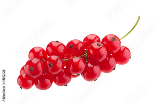 Red currant on white