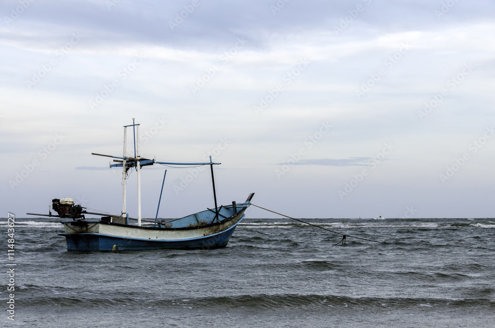 fishing boat used as a vehicle for finding fish in the sea.