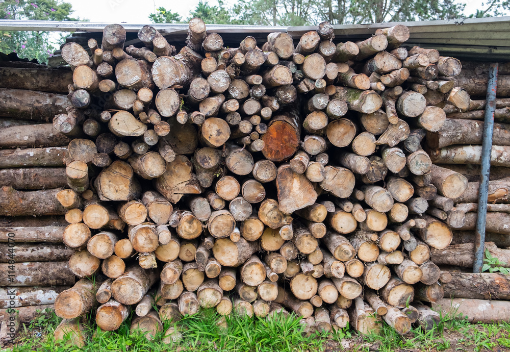 Pile of logs for wood texture background