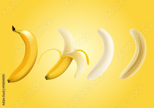 Vector illustration of half peeled banana and a piece of banana , slice banana , transparent