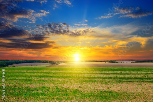 field, sunrise and blue sky © alinamd