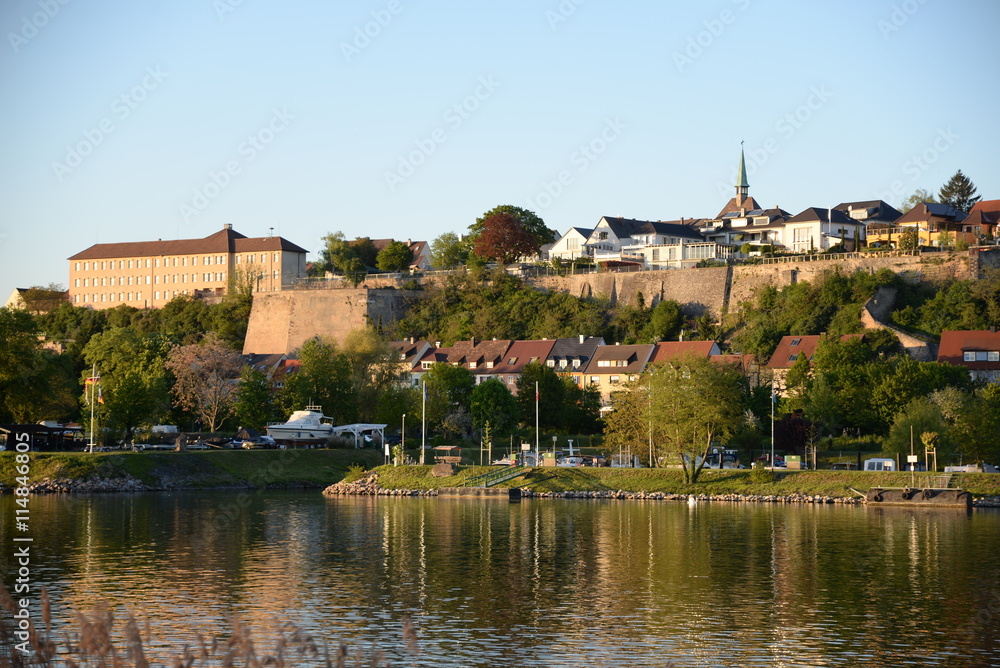 Fototapeta premium Rhein bei Breisach