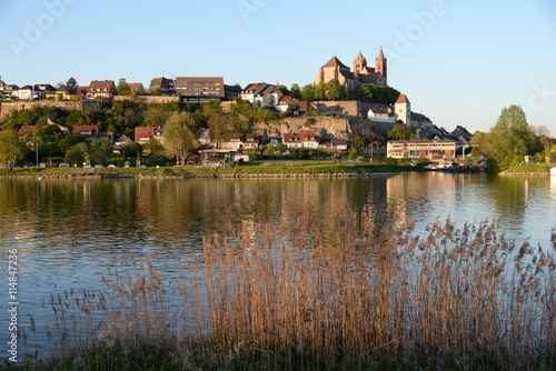 Rhein bei Breisach