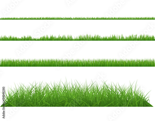 Green grass dense big and small. Set planting of greenery on white background.