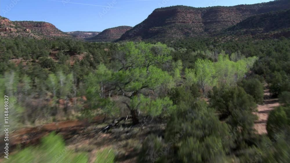 Flying over wide, wooded canyon in the Southwest Flying over wide, wooded canyon in the Southwest