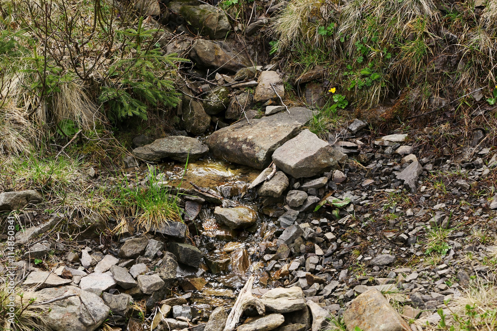 Mountain stream flowing into a stony brook