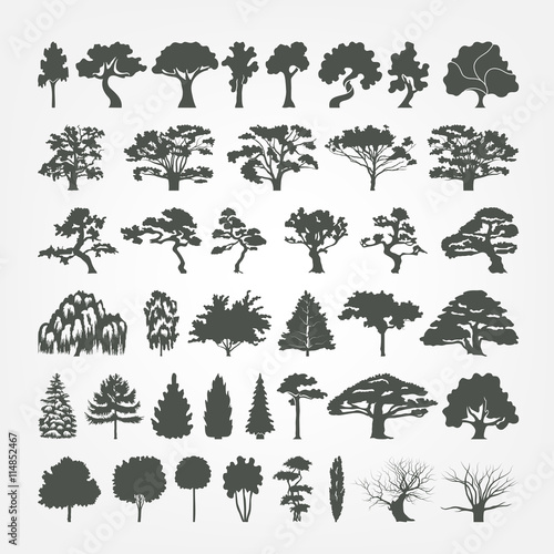 Trees collection