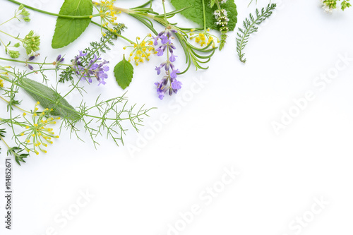 variety of fresh herbs on white background