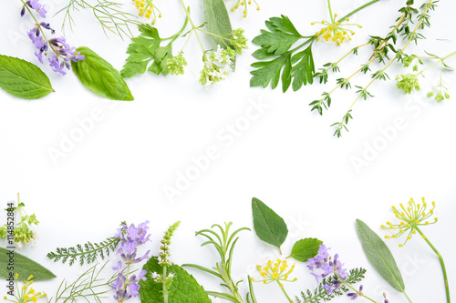 Tablou canvas variety of fresh herbs on white background