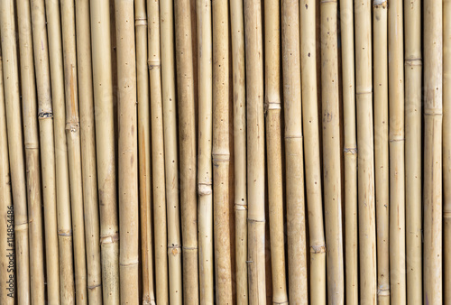 bamboo fence