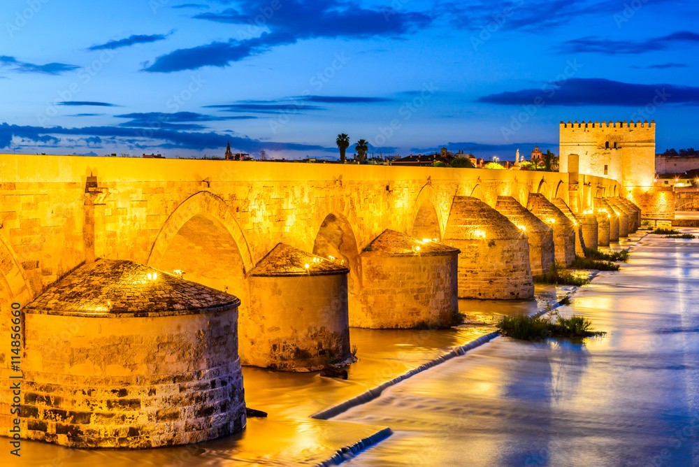 Cordoba - Roman Bridge, Andalusia, Spain