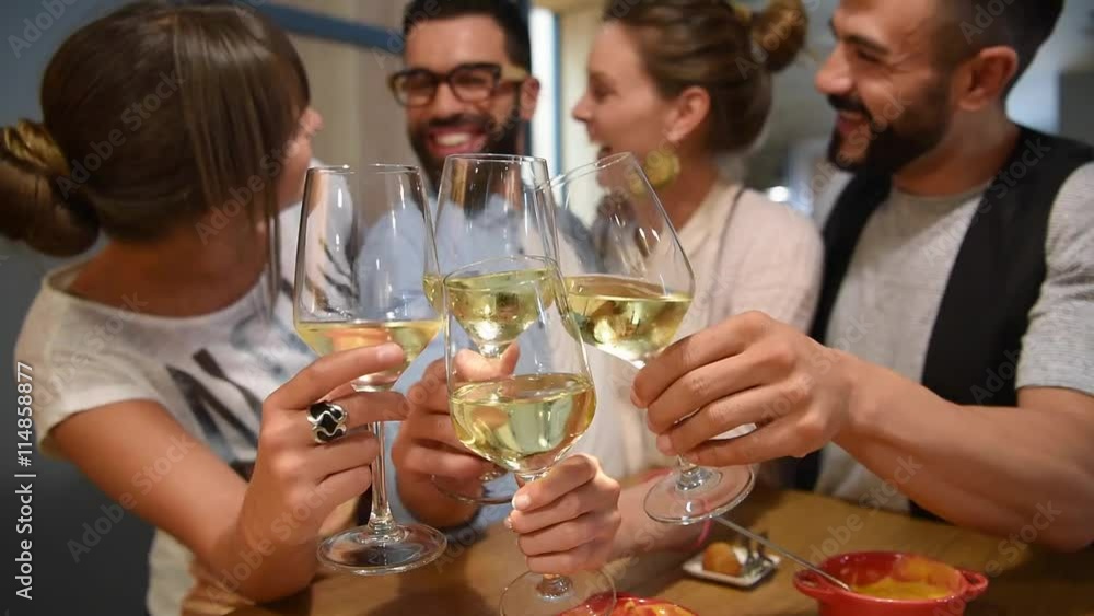Group of trendy people cheering with wine glasses Group of trendy people cheering with wine glasses