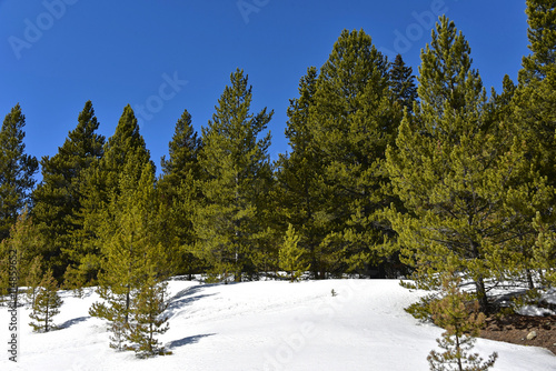 Colorado - Cooper Mountain photo