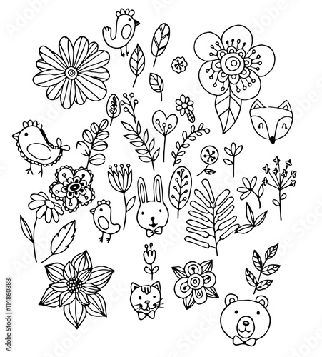 Fototapeta Naklejka Na Ścianę i Meble -  Flower Sketch Vector