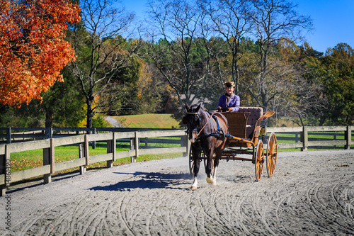 Carriage Rider competing in the James River Driving Association