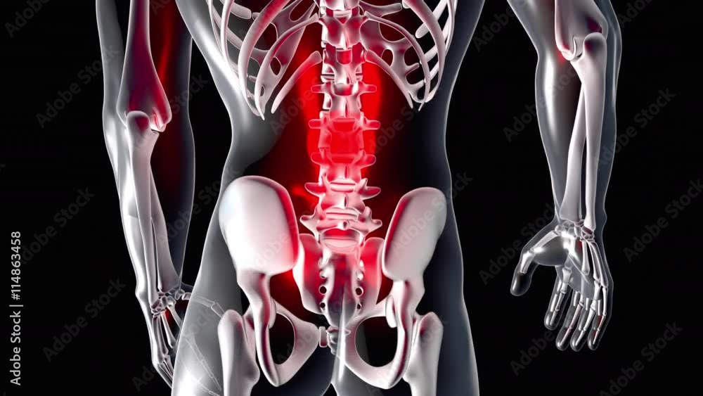 3D animated visualization of pulsating pain in the Back / Spine.
3D animated visualization of pulsating pain in the Back / Spine.