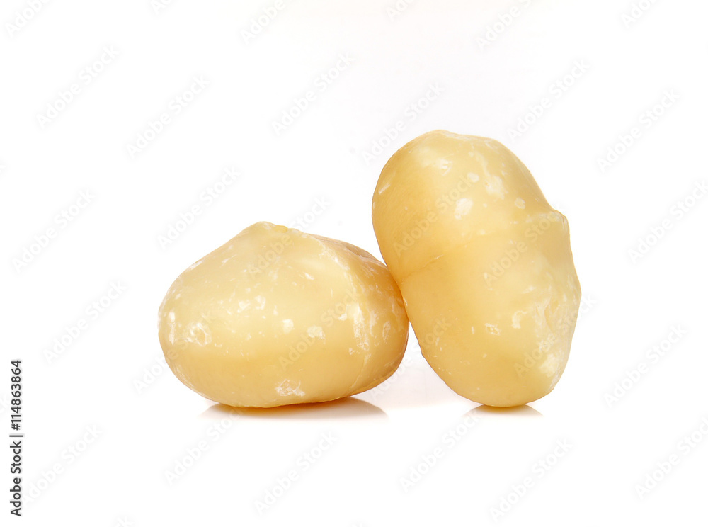 Macadamia on white background.Focus macadamia front. Macadamia on white background.Focus macadamia front.