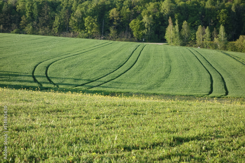 Landwirtschaft - Feld, Wald und Wiese