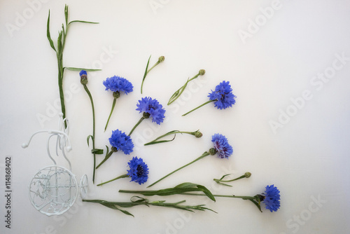 Blue cornflowers and white bike. Overhead view. Flat lay, top . Place for your text.