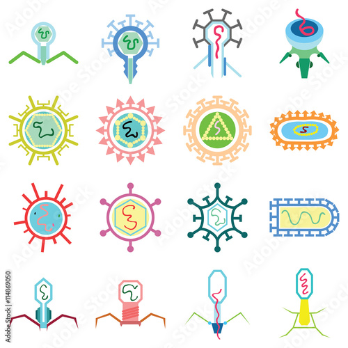 simple virus graphic in many simple forms