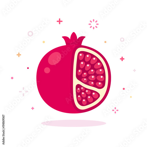 pomegranate vector illustration