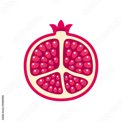 pomegranate icon illustration