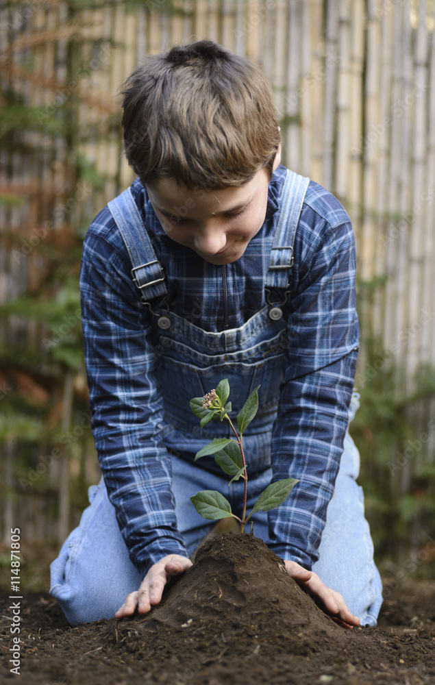 Planting a tree to improve the climate change. Planting a tree to improve the climate change.