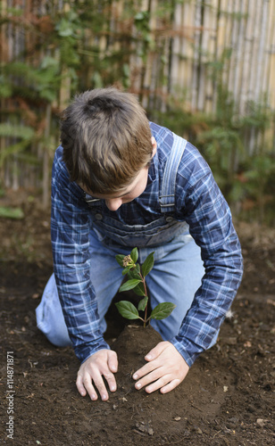 Planting a tree to improve the climate change. 