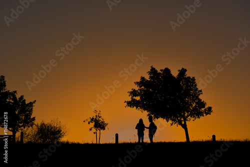 Silhouette of a couple standing under a tree during sunset