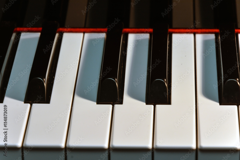 Naklejka premium Piano Keys