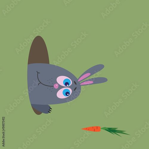 hungry rabbit
