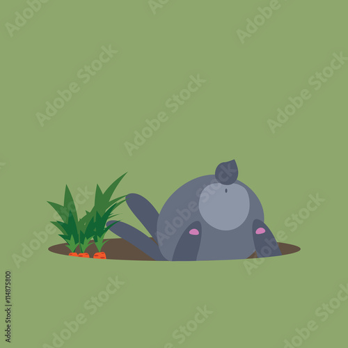 hungry rabbit