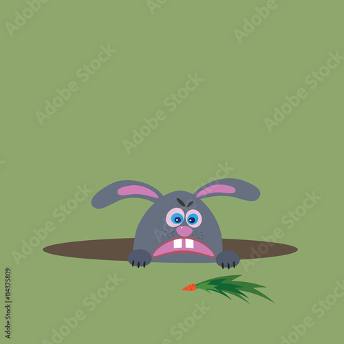 hungry rabbit