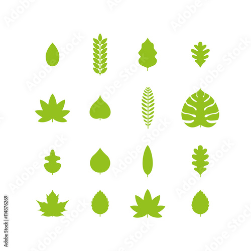 Leaf Icon Set