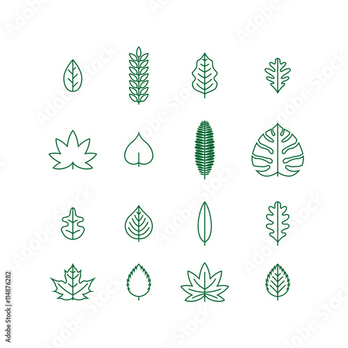 Line Leaf Icon Set