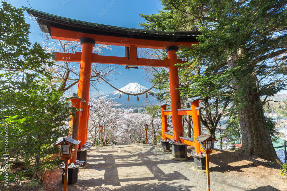 Torii gates with Sakura and Mountain Fuji Torii gates with Sakura and Mountain Fuji