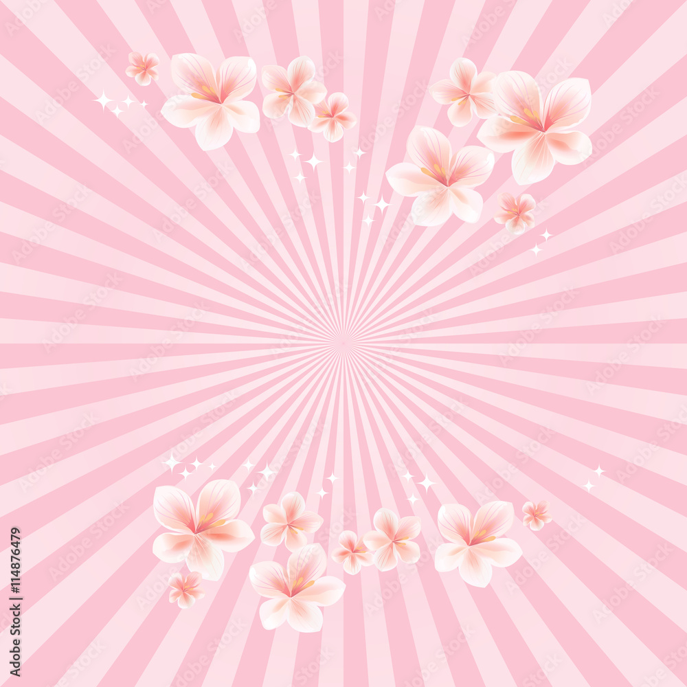 Flowers background. Apple tree flowers. Sakura flowers on light Pink rays background. Cherry blossom. Vector Flowers background. Apple tree flowers. Sakura flowers on light Pink rays background. Cherry blossom. Vector