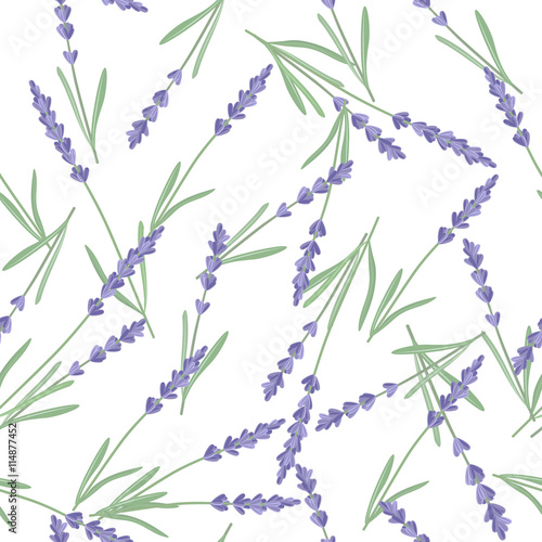 Bright vector seamless background with sprigs of lavender.