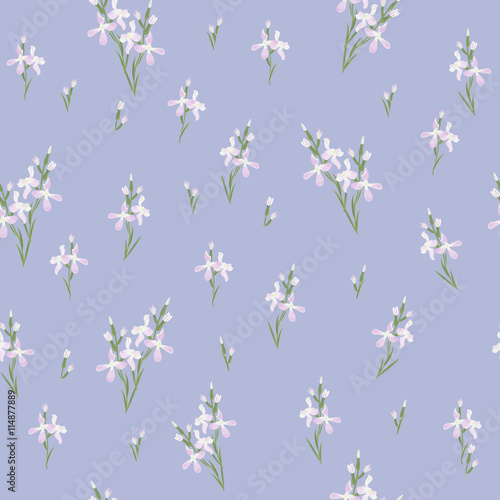 Seamless pattern with flowers Matthiola or evening primrose. 