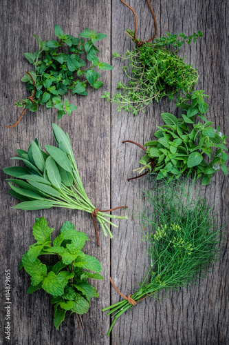 Various aromatic herbs and spices from garden  green mint ,fenne