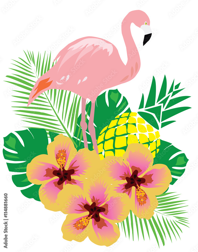 Vector Flamingo Bird Vector Flamingo Bird