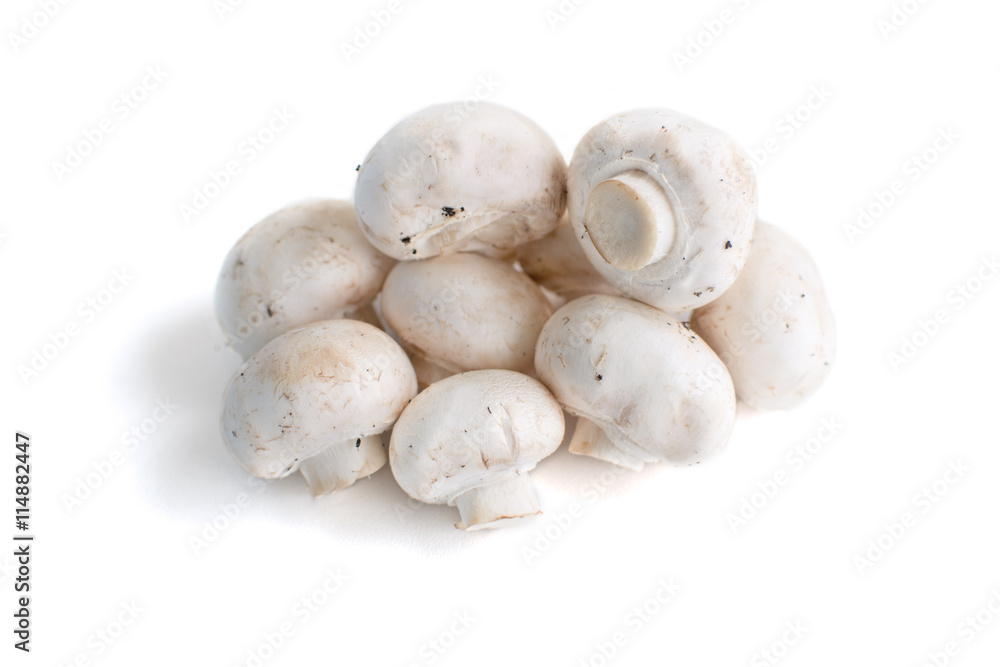 White champignon mushrooms isolated on white background White champignon mushrooms isolated on white background