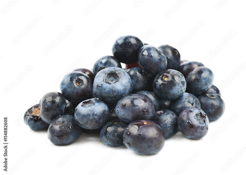 Pile of bilberries isolated Pile of bilberries isolated