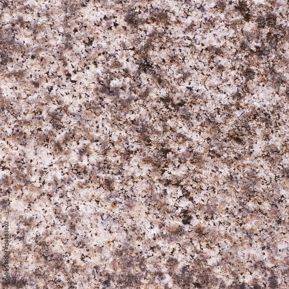 Fragment of a granite wall Fragment of a granite wall