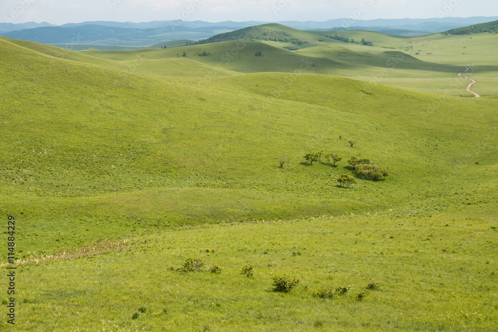 China Inner Mongolia natural grassland