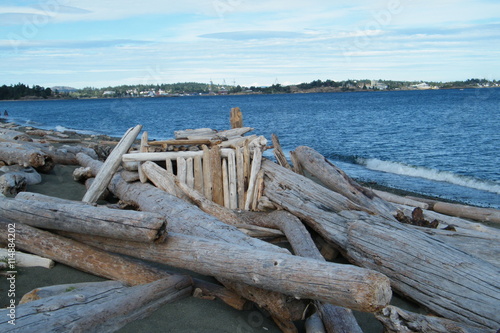 Driftwood House on the Beach © Roxanne Haddrell