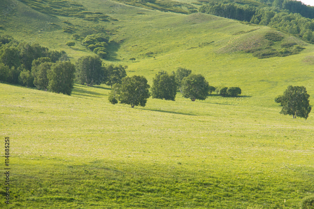 Obraz premium China Inner Mongolia natural grassland