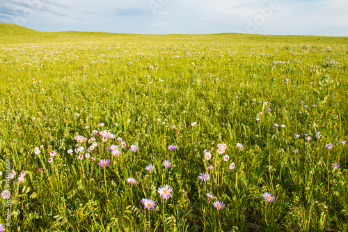 China Inner Mongolia natural grassland